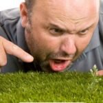 How to Get Rid of Weeds in Zoysia Grass