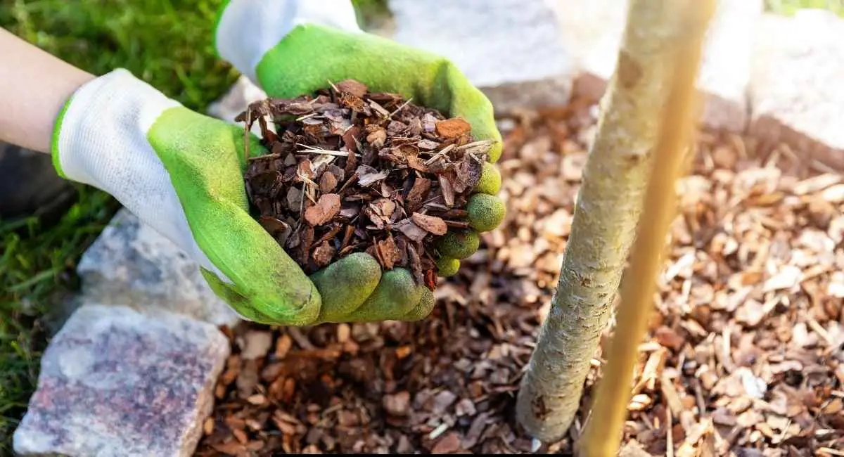 Prevent Mulch from Washing Away