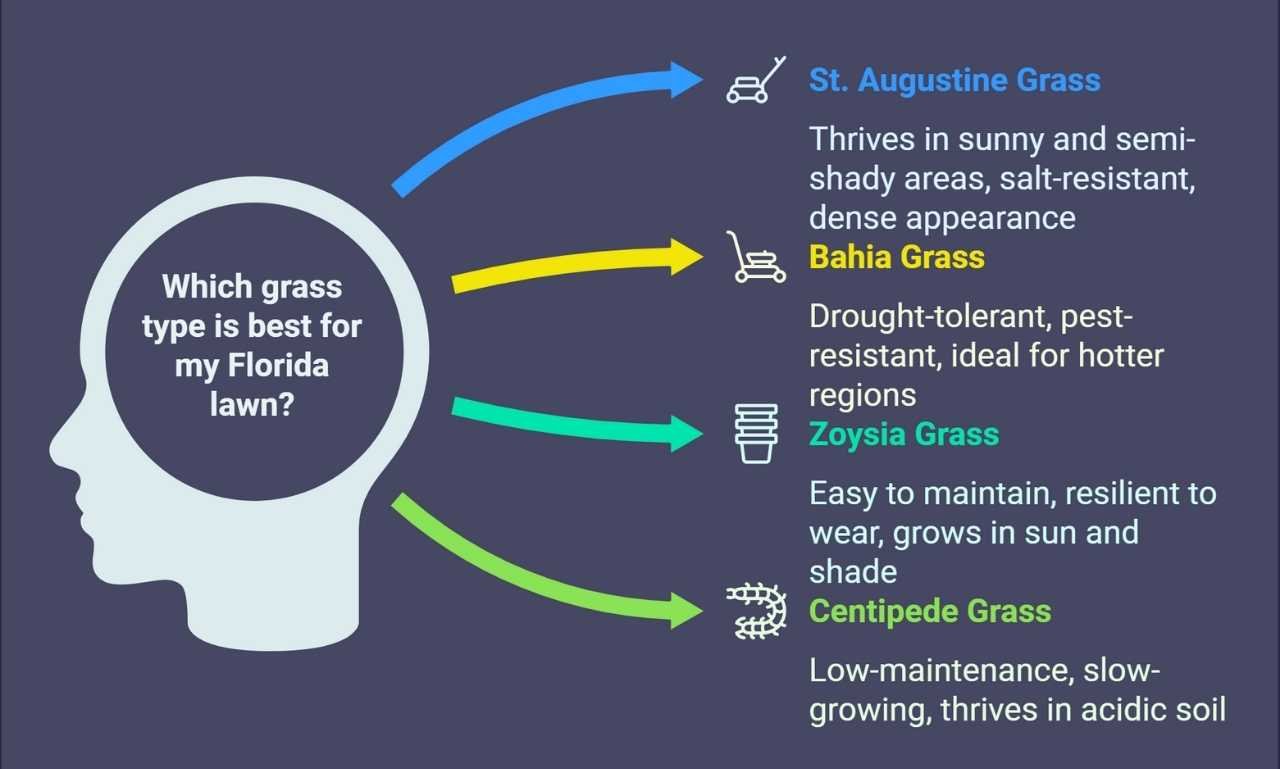 Which grass type is best for my Florida lawn