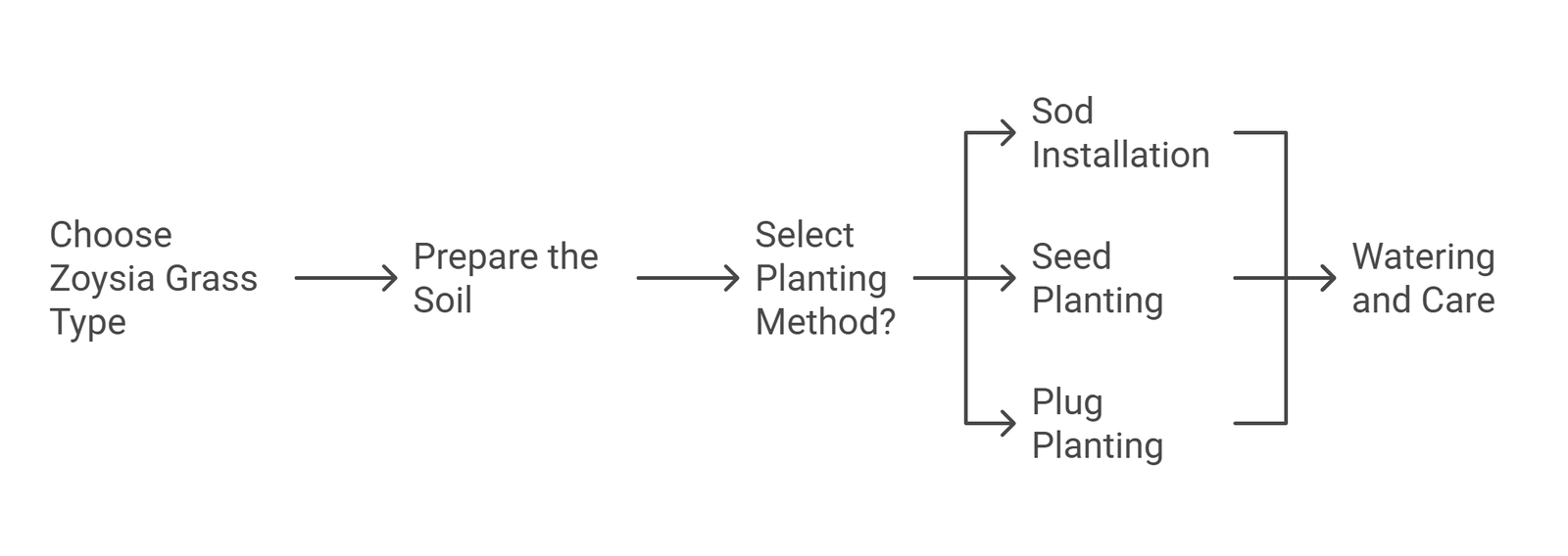 How to Plant Zoysia Grass_ A Step-by-Step Guide