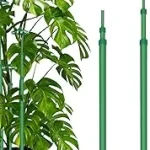 Top 10 best Adjustable Plant Support review