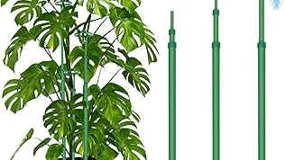 Top 10 best Adjustable Plant Support review