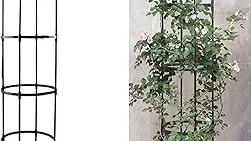 Top 10 best Best Garden Trellis For Plants