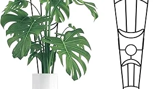 Top 10 best Best Indoor Plant Support to buy