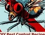 Top 10 best Diy Pest Control Solutions review