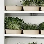 Top 10 best Diy Vegetable Garden Kit review