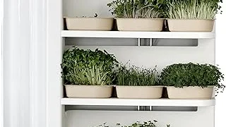 Top 10 best Diy Vegetable Garden Kit review