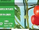Top 10 best Garden Stakes For Tomatoes
