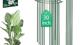 Top 10 best Heavy Duty Garden Support Rings