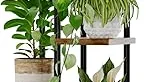 Top 10 best Indoor Plant Stand For Gardening