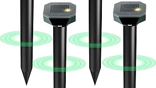 Top 10 best Natural Pest Repellent For Garden