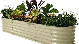 Top 10 best Raised Bed Vegetable Garden to buy