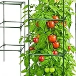 Top 10 best Tomato Cage For Garden Plants review