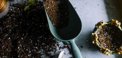 Person hand pulling weeds from garden soil naturally without chemicals