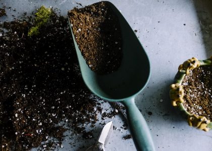 Person hand pulling weeds from garden soil naturally without chemicals
