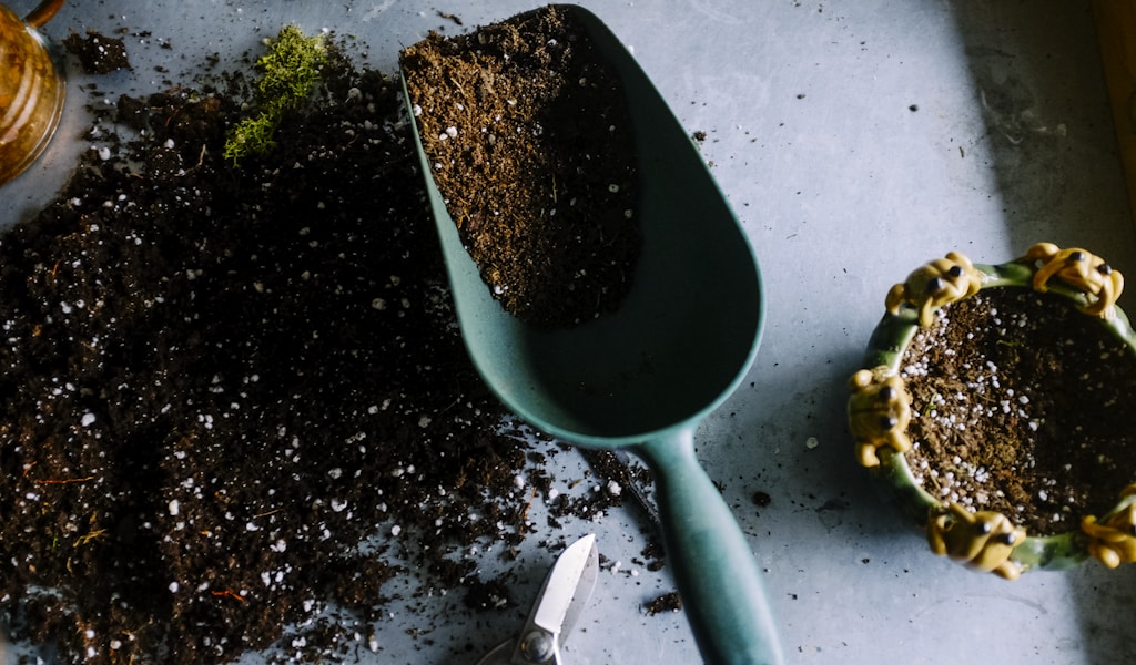 Person hand pulling weeds from garden soil naturally without chemicals