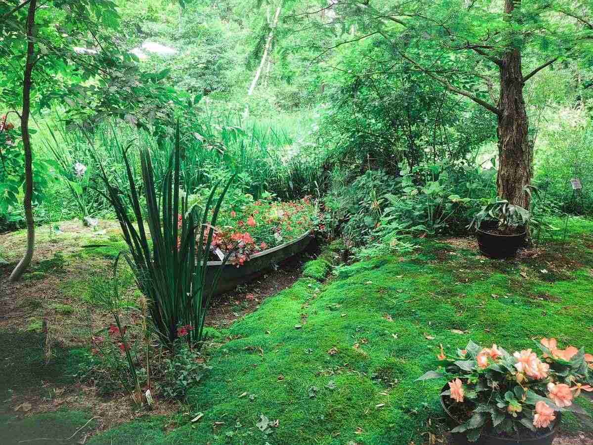 2. Nelson Rain Train 818653 — Best Alternative Traveling Sprinkler