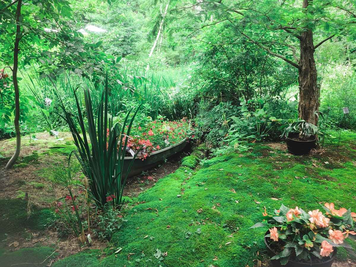 Best Sprinklers for Large Lawns 2026 Guide