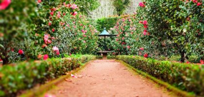 Small Yard Sprinkler Setup Guide