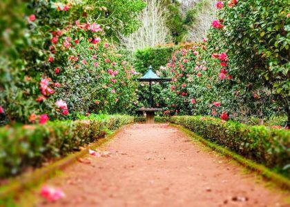 Small Yard Sprinkler Setup Guide