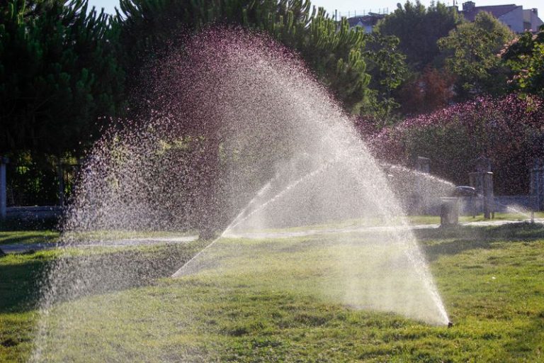 How to Set Up Drip Irrigation: Complete Step-by-Step Guide