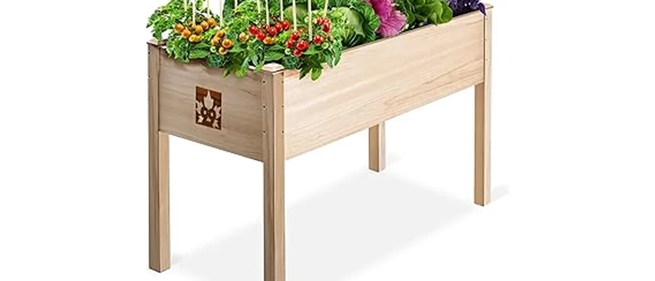 The image shows a beautiful cedar raised garden bed filled with vibrant plants, suggesting a top choice from ten best options.