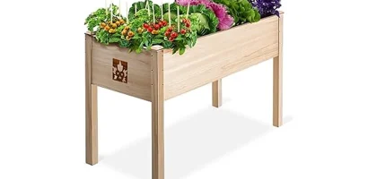 The image shows a beautiful cedar raised garden bed filled with vibrant plants, suggesting a top choice from ten best options.