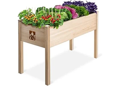 The image shows a beautiful cedar raised garden bed filled with vibrant plants, suggesting a top choice from ten best options.
