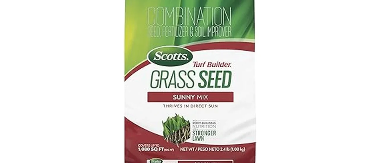 Best 7 Grass Seeds for Full Sun