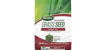 Best 7 Grass Seeds for Full Sun