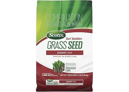 Best 7 Grass Seeds for Full Sun