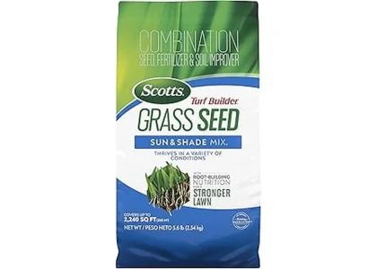 Most Popular 7 Grass Seeds for Shade