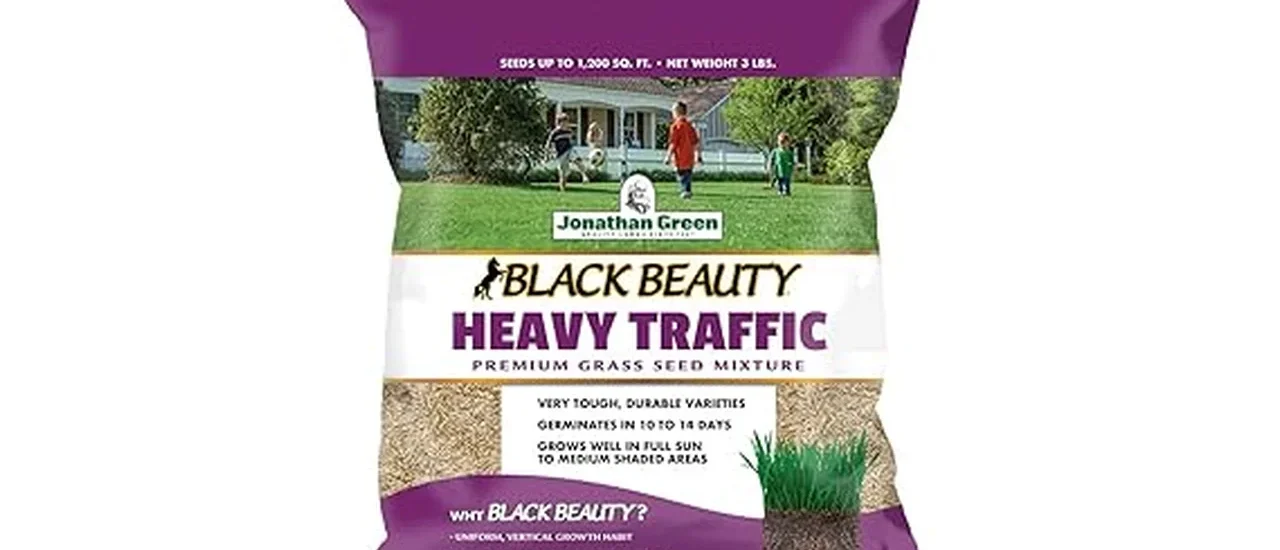 Most Popular 7 Grass Seeds for High Traffic Areas