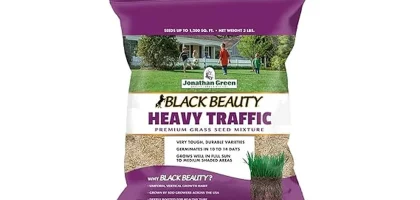 Most Popular 7 Grass Seeds for High Traffic Areas