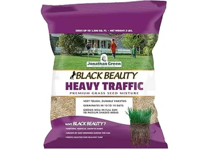 Most Popular 7 Grass Seeds for High Traffic Areas