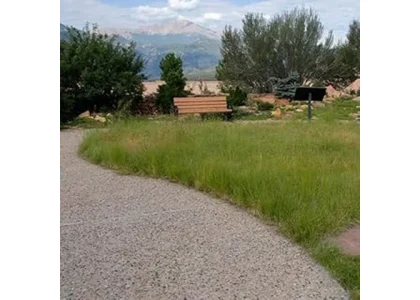 Most Popular 7 Grass Seeds for Drought-prone Areas