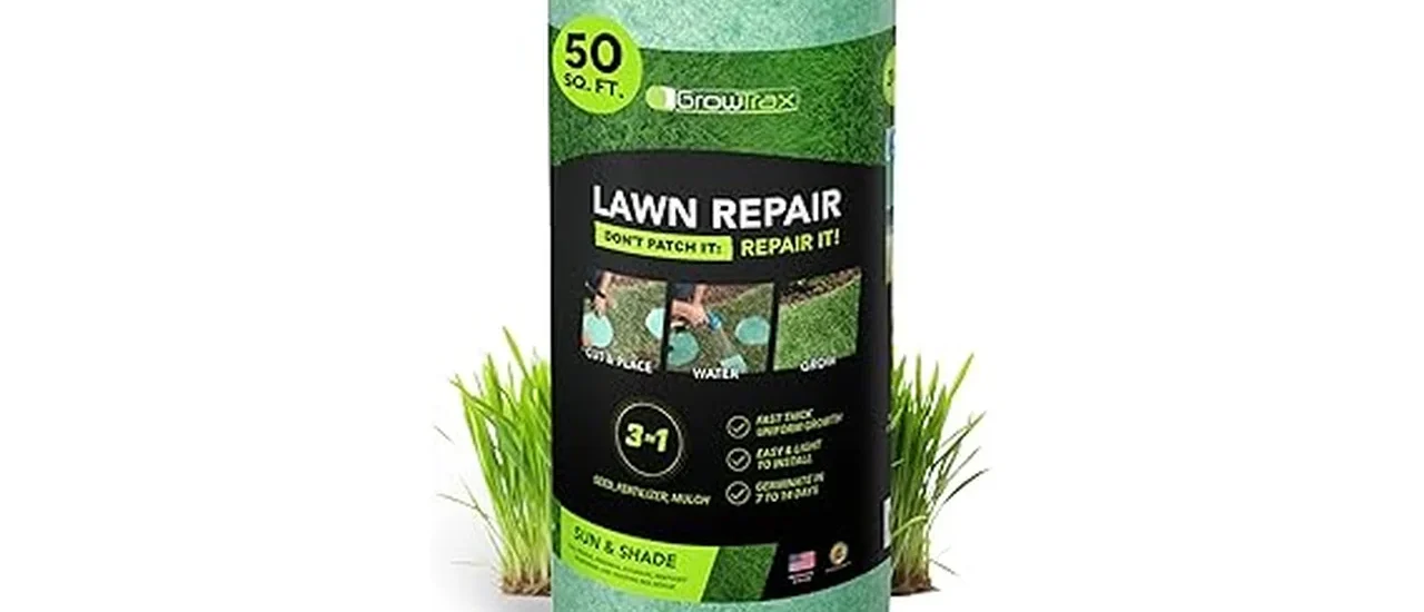 Most Popular 7 Grass Seeds for Overseeding an Existing Lawn