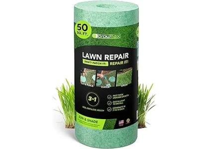 Most Popular 7 Grass Seeds for Overseeding an Existing Lawn