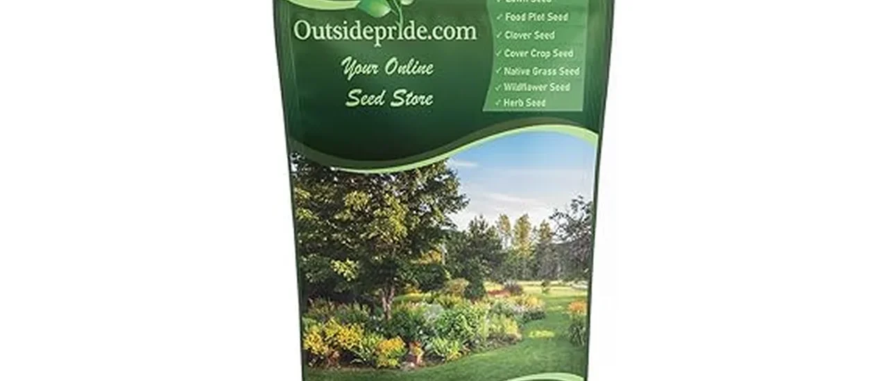 Most Popular 7 Grass Seeds for Cold Climates