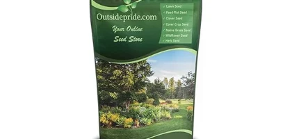 Most Popular 7 Grass Seeds for Cold Climates