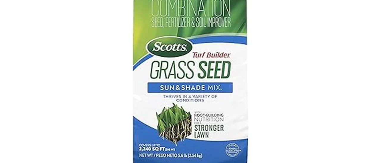 Most Popular 7 Grass Seeds for Clay Soil