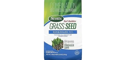 Most Popular 7 Grass Seeds for Clay Soil