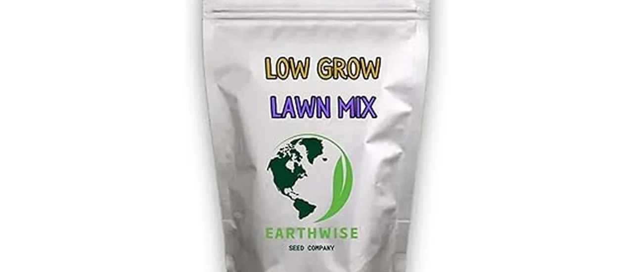 Most Popular 7 Grass Seeds for Sandy Soil