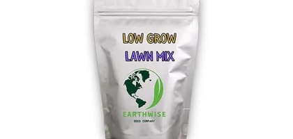 Most Popular 7 Grass Seeds for Sandy Soil