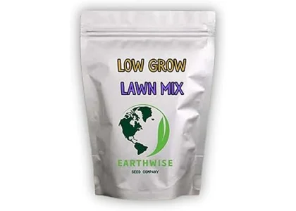 Most Popular 7 Grass Seeds for Sandy Soil