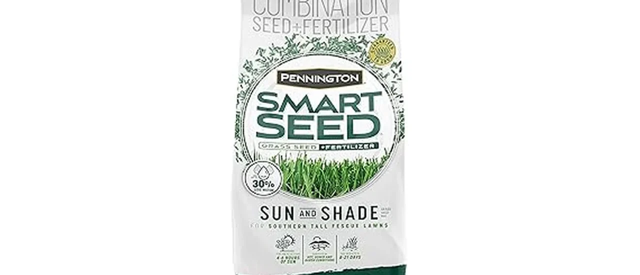 Top Rated 7 Grass Seeds for Southern Lawns