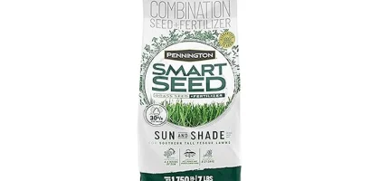 Top Rated 7 Grass Seeds for Southern Lawns