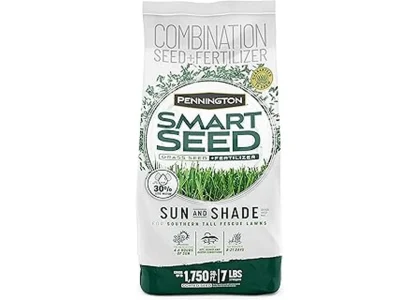 Top Rated 7 Grass Seeds for Southern Lawns