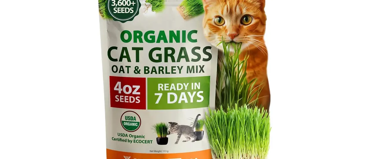 HOME GROWN Organic Cat-Grass Seed Mix (Oat & Barley) – 4 oz – Easy Indoor Planter