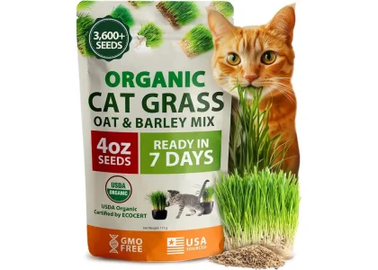 HOME GROWN Organic Cat-Grass Seed Mix (Oat & Barley) – 4 oz – Easy Indoor Planter